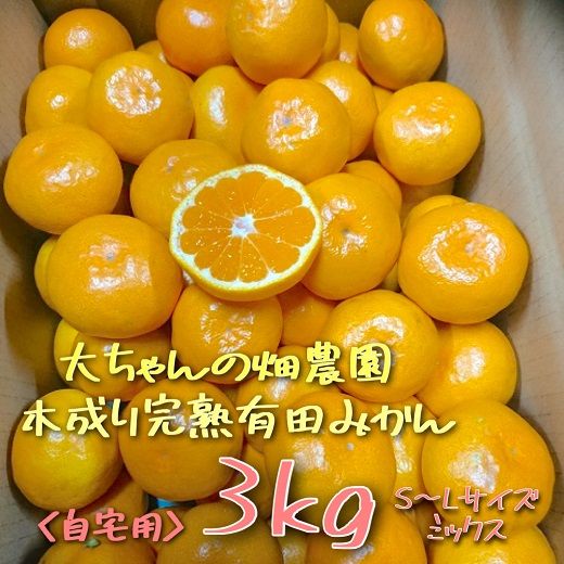 【ご家庭用】有田みかん  3kg （Ｓ～2Ｌサイズミックス）木成り完熟 大ちゃんの畑農園  CA11