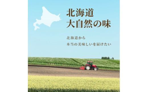 《14営業日以内に発送》全6種セット！大地と海の恵み北海道スープ 6種×8袋 ( 帆立 野菜 簡単 粉末 スープ )【125-0072】
