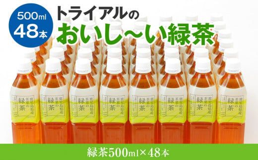 トライアルのおいし～い緑茶（500mlペットボトル×48本）