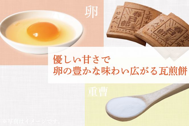 AB001-1 【地元ブランド】上昇大凧せんべい詰合せ