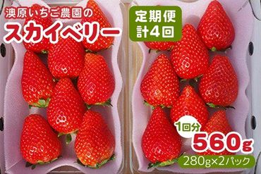 [先行予約][4ヶ月連続定期便] 澳原いちご農園のスカイベリー定期便 (毎月お届け 計4回)|いちご イチゴ 苺 フルーツ 果物 産地直送 栃木県産 [0482]