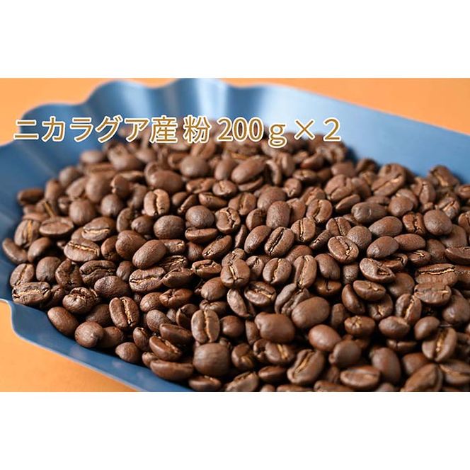 C-3 カフェ・フランドル厳選コーヒー豆　ニカラグア産(200g×2)挽いた豆