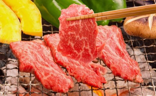 【但馬牛がっせぇ盛り 焼肉用計1kg（250g×4）冷凍】発送目安：入金確認後1ヶ月程度  ※配送日の指定はできません 牛肉 但馬 神戸 兵庫県 但馬牛 72-24