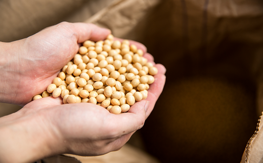 大容量 田舎糀味噌 (お徳用 ) 19kg 味噌 みそ みそ汁 味噌汁 調味料 麹 国産 おすすめ お中元 送料無料 緊急支援品 生活応援 コロナ支援 福島県 田村市 石塚味噌店 N26-P37-01