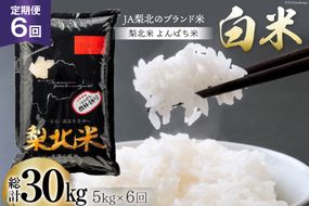 【定期便】【6回 米 定期便 】梨北米 農林48号 5kg×6回 総計30kg [梨北農業協同組合 山梨県 韮崎市 20742748] お米 おこめ こめ コメ 精米 30キロ ご飯 ごはん 白米 国産 JA梨北