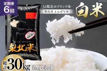 【6回 米 定期便 】 梨北米 農林48号 5kg×6回 総計30kg / 梨北農業協同組合 / 山梨県 韮崎市 [20741435] お米 おこめ こめ コメ 精米 ご飯 ごはん 白米 国産 JA梨北