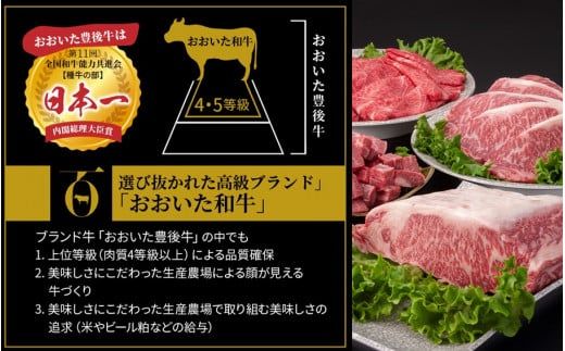 【A4～A5等級】小分けで便利！ おおいた和牛 切り落とし 1kg (250g×4P)_2436R