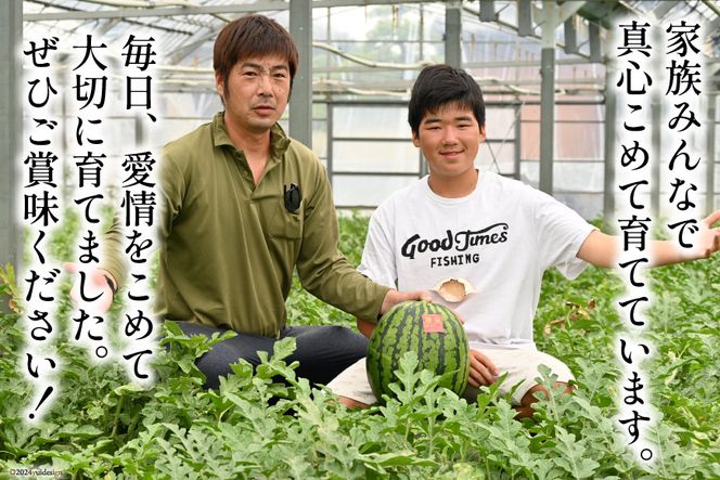 AH167【令和8年度出荷分】絶品！大玉スイカ 〜 羅皇（ ラオウ ）〜（ L/2Lサイズ 6kg以上 ）[ スイカ すいか 大玉 野菜 果物 フルーツ 吉田農園 長崎県 島原市]