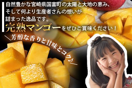 ＜宮崎特産！国富町産の完熟マンゴー 2玉（2L×2玉）＞2026年3月下旬～6月下旬迄に順次出荷【a0594_as】