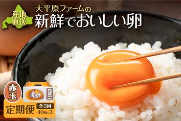 [3回定期便]大平原ファームの新鮮でおいしい卵 計40個(赤卵)×3ヶ月