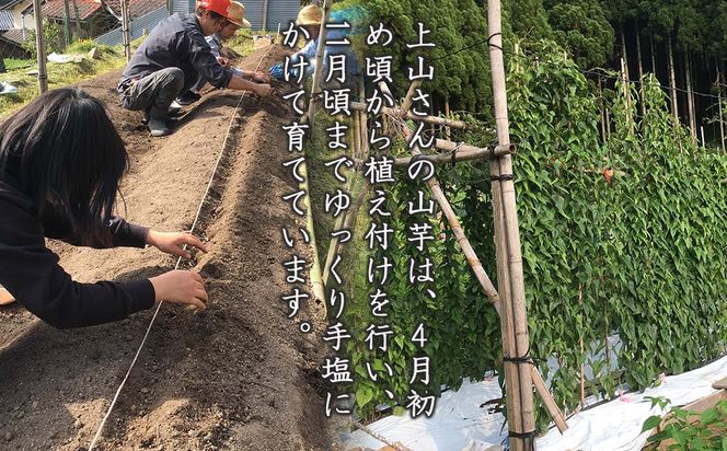 山芋(長芋) 2kg 西粟倉特産【数量限定】 c-FI-A02A