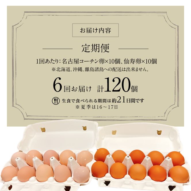 【6ヶ月定期便】名古屋コーチン卵・仙寿卵お試しセット（各10個入り）×6回（計各60個） [006K04-T]