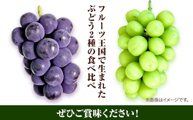 岡山県産ニューピオーネ（１房580g以上）＆シャインマスカット「晴王」（1房580g以上）（令和8年産先行受付）《2026年9月上旬‐10月下旬頃出荷》【配送不可地域あり】---H-40b---