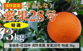 【先行予約】【数量限定】浅野農園の愛果28号（まどんな）特選3kg｜柑橘 みかん ミカン フルーツ 果物 愛媛 有名 代表 高級 ※2024年12月中旬～2025年1月中旬頃に順次発送予定 ※離島への配送不可