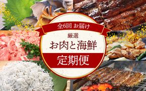 【お試し】お肉・海鮮　定期便（全6回お届け） H028-063