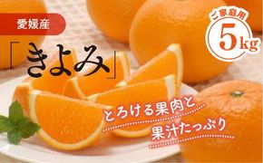 【家庭用】清見タンゴール 5kg ｜ 柑橘 みかん ミカン 蜜柑 果物 フルーツ 愛媛県 伊方町産　※離島への配送不可　※2025年3月上旬～4月上旬頃に順次発送予定