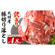 【訳あり・生産者応援企画】九州産 豚切り落とし肉＜計4.8kg(300g×16P)＞ b5-183