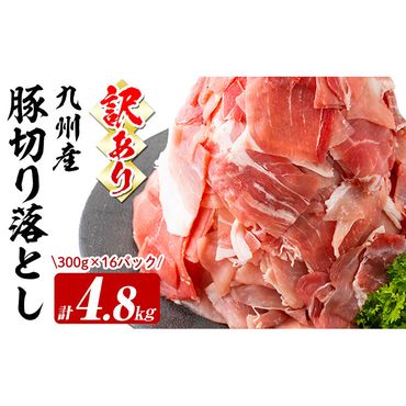 【訳あり・生産者応援企画】九州産 豚切り落とし肉＜計4.8kg(300g×16P)＞ a6-051