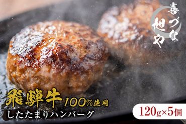 喜づな旭や 飛騨牛100%したたまりハンバーグ 120g×5個[0092-004]