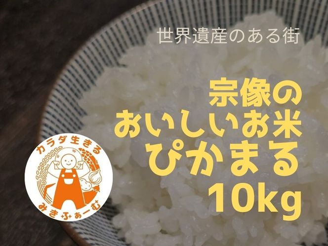 むなかた産 米 ぴかまる 10kg【みきふぁーむ】_HA1544