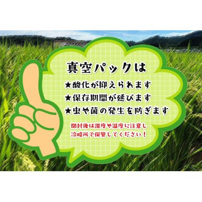 【令和6年産】【真空包装】福岡県 宗像市吉武産 新米「夢つくし」 10kg (5kg×2袋)  【正助ふるさと村】_HA1542