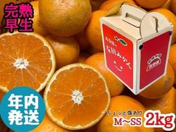 年内発送 ちょっと傷あり 完熟早生 有田みかん M ~ SS サイズ 2kg 手さげ箱 みかん  	BS650