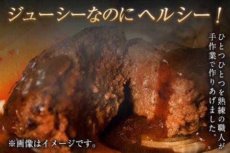 手作りハン馬ーグ 100g×10個 馬肉100%配合！【熊本肥育】ハンバーグ たっぷり 冷凍 お中元 肉 お手軽 お取り寄せ《30日以内に出荷予定(土日祝除く)》---ng_fkghumburg_30d_r7_12000_10k---