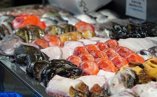 121-1262-142-001　お魚の目利きのプロにお任せ！北海道産（国産） 天然 鮮魚 約500g～1kg（釧路の鮮魚セット）