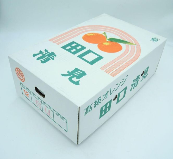 田口の清見オレンジ 秀品 約5kg L～3L（30玉～18玉） サイズおまかせ 化粧箱入り【2026年2月26日～2026年3月31日頃より順次発送】 DS001