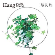 GRAVIRoN Hang Plants シリーズ Round 酸洗鉄（プランツハンガー） 観葉植物 プランター