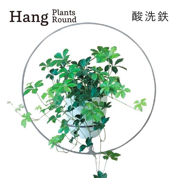 GRAVIRoN Hang Plants シリーズ Round 酸洗鉄（プランツハンガー） 観葉植物 プランター