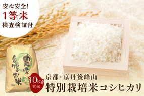 2024年産 京都・京丹後峰山 特別栽培米コシヒカリ 10kg 【玄米】 1等米 検査済証付　MF00032