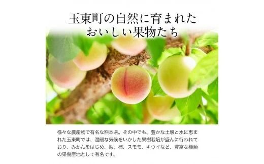 ハニーローザ＆いちごコンフィチュールセット《60日以内に出荷予定(土日祝除く)》熊本県 玉名郡 玉東町 イチゴ 贈答 ギフト ハニーローザ ゆうべに ぷらっとぎょくとう---sg_gytjam_60d_26_10500_3set---