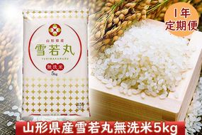 ＜1月開始＞山形米１年定期便！ 雪若丸無洗米５kg（入金期限：2024.12.31）