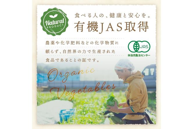 【年12回定期便】＜てんとうむしばたけ＞オーガニック野菜セット　有機野菜6～7種(2人用)　BR00061