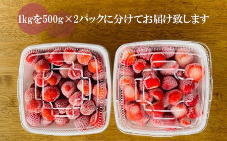 【予約受付中！8月上旬頃発送予定】＜山科農園の冷凍すずあかね　1kg＞甘酸っぱさが魅力の冷凍いちご