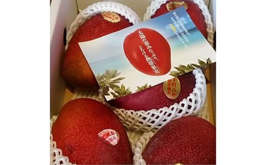 yꌧdzystzy2026NzɏW_  ꌧY}S[ ƒp 2kg - s\  Yn 썑t[c {̖o ƒp 2L IXX ꌧ d