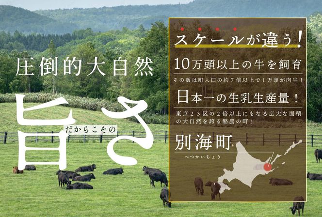 しゃぶしゃぶ 用（肩ロース）500g 北海道 別海町産 黒毛和牛「 名人和牛」 A5クラス ( 250g×2P )