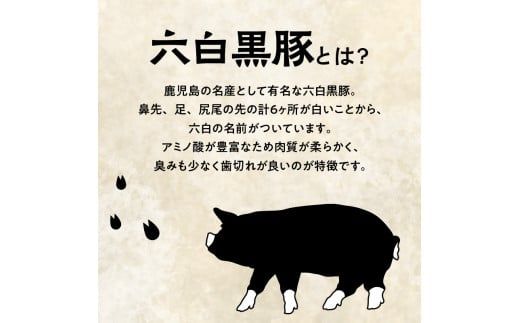 鹿児島県産六白黒豚 焼肉セット　K109-001