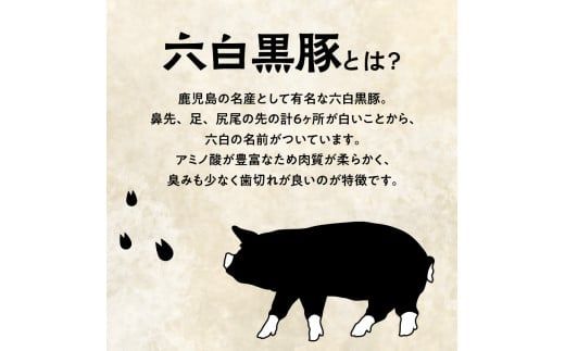 鹿児島県産六白黒豚 得々セット　K109-004