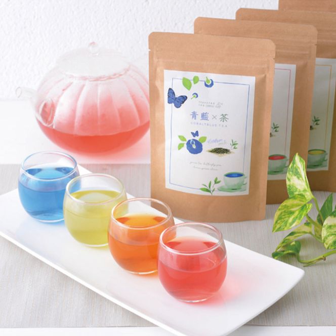 y򕌌䒬zG-4 򕌌Y@Βt[o[eB[