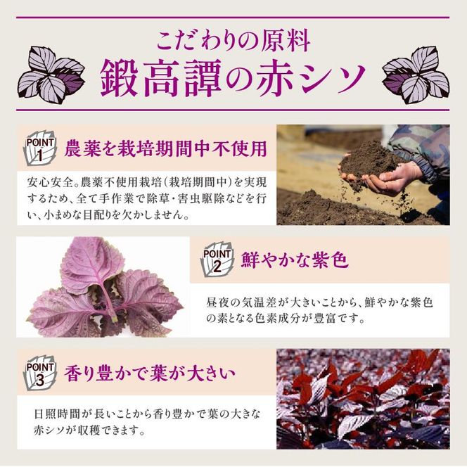 鍛高譚（たんたかたん）[1800ml]【4本セット】