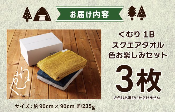 G2620 くむり1B スクエアタオル 3枚 色お楽しみセット【泉州タオル 国産 吸水 普段使い 無地 シンプル 日用品 家族 ファミリー】