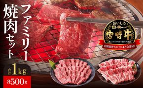 宮崎牛・宮崎ブランドポーク焼肉各500g　ファミリーセット　N023-YZC019