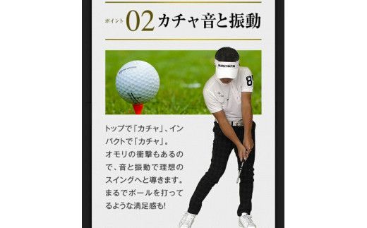 027BF01N.「匠・スイングマスター」