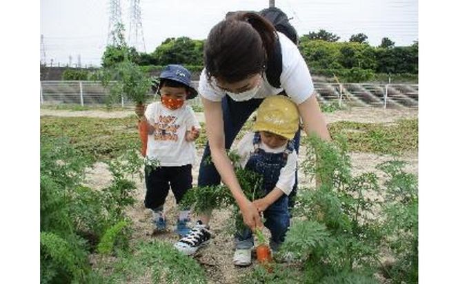 【旬のお野菜・もぎとり体験チケット 4,500円分】何名様でもご利用可能！ 野菜 農業体験 収穫 畑 農園 チケット 体験 プレゼント H025-011