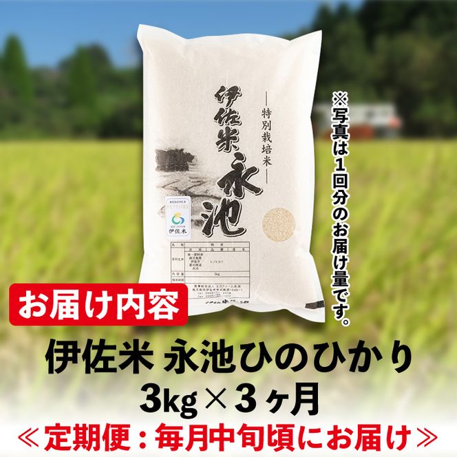 isa539 【定期便】令和6年産 特別栽培米 伊佐米永池ひのひかり(計9kg・3kg×3ヶ月)【エコファーム永池】