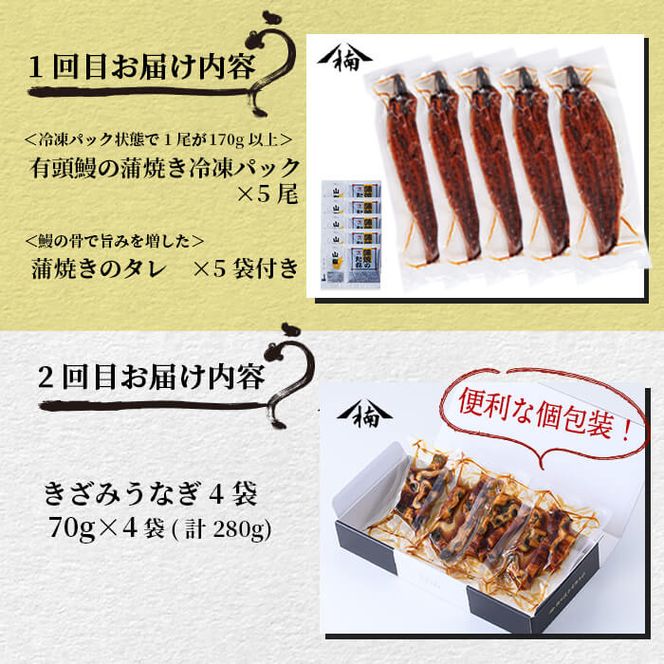 【定期便全5回】うなぎ2.1kg！5ヶ月間うなぎが楽しめる定期便！ t0098-001