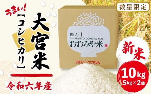 [令和6年産新米・数量限定]四万十の米どころ!山間地域で育てた大宮米(コシヒカリ)10kg