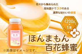 ほんまもん百花蜂蜜 1200g×1本 村上養蜂《90日以内に出荷予定(土日祝除く)》和歌山県 紀の川市---wsk_murayhh1_90d_21_16000_1200g---